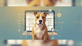 比特犬网（比特犬官网网址）怎么查 - 宠物饲养封面图